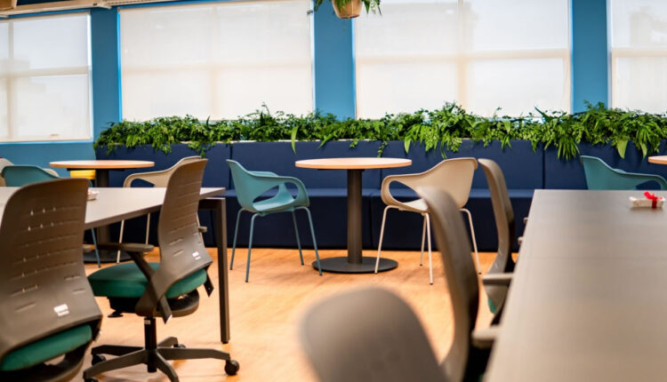 Conhecer funcionários e incluir natureza influenciam bem-estar das equipes