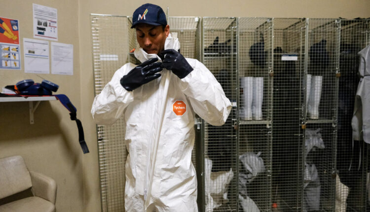 Ball Packaging Brasil exporta projeto premiado sobre segurança de trabalhadores