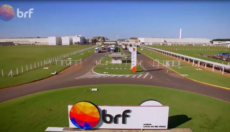 Transformação digital: BRF cria plataforma de admissão online