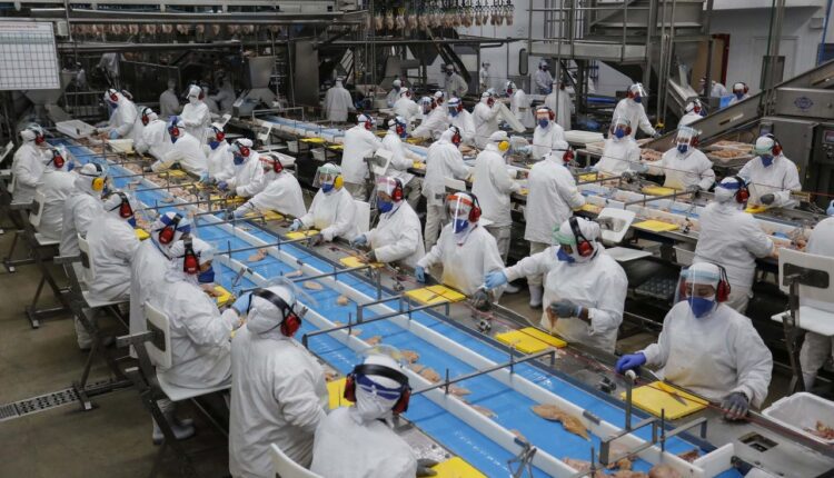 Controvérsias em torno da NR-36: um olhar sobre o setor frigorífico - Revista Cipa