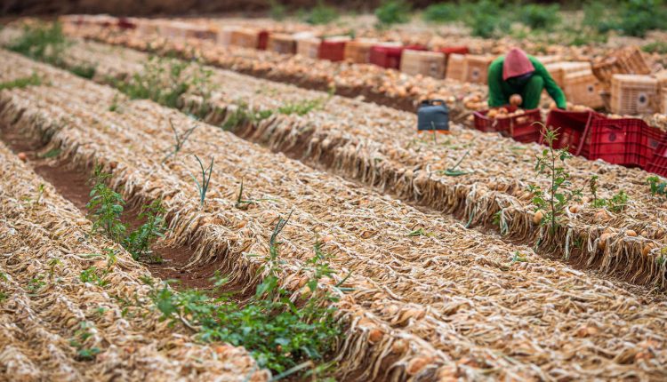 CNA debate envio de informações ao eSocial - Revista Cipa