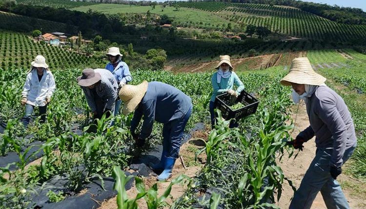 A manutenção de cobrança de Riscos Ambientais do Trabalho (RAT) para grandes indústrias e agronegócio - Revista Cipa