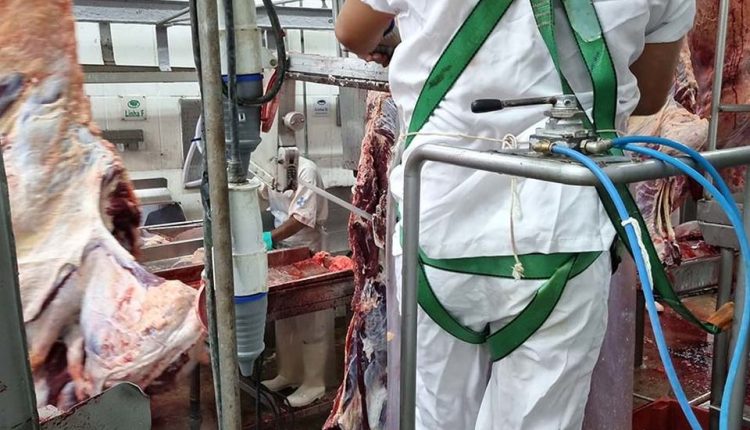 Condições de saúde e segurança são fiscalizadas em frigoríficos e usinas de álcool de Mato Grosso - Revista Cipa