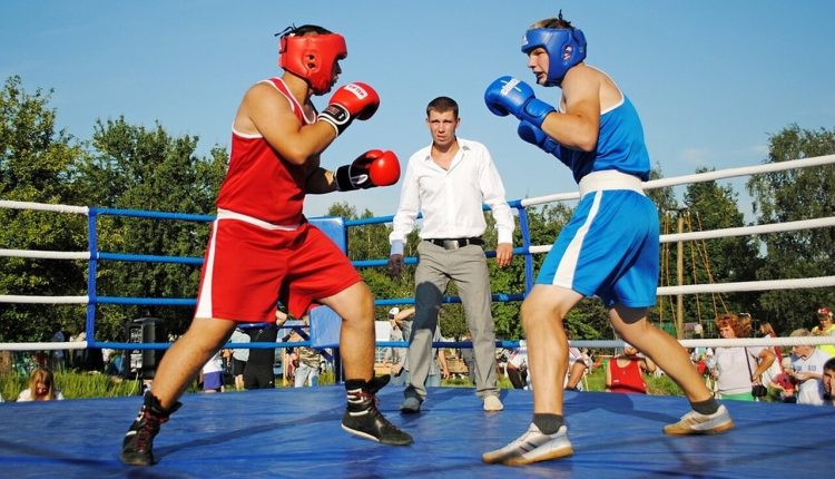 Além do ringue os riscos dos profissionais da luta e a busca por legislação protetiva - Revista Cipa