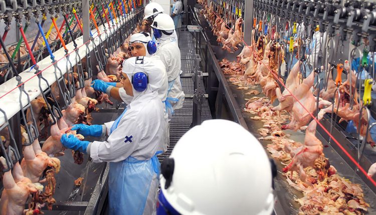 Pesquisadores apontam importância de Observatório de Saúde e Trabalho no agronegócio - Revista Cipa