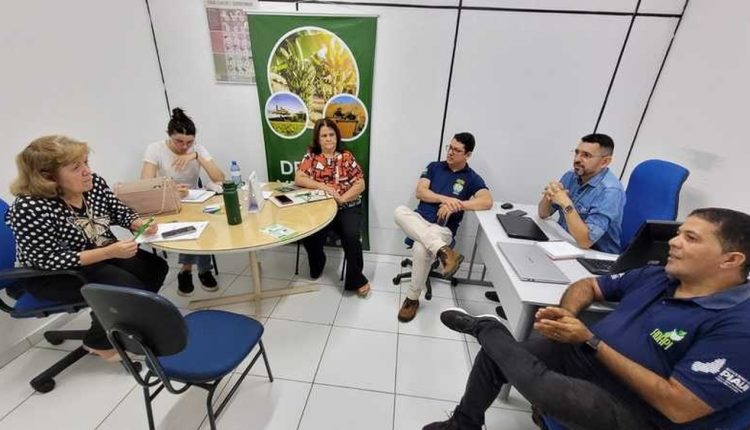 Piauí fecha parceria para alertar trabalhadores sobre uso de agrotóxicos - Revista Cipa