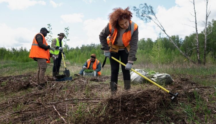 Abril Verde entidades se mobilizam para levar informações de SST a quem atua no campo - Revista Cipa